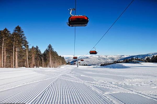 如何设计吸引人的体育培训招生简章