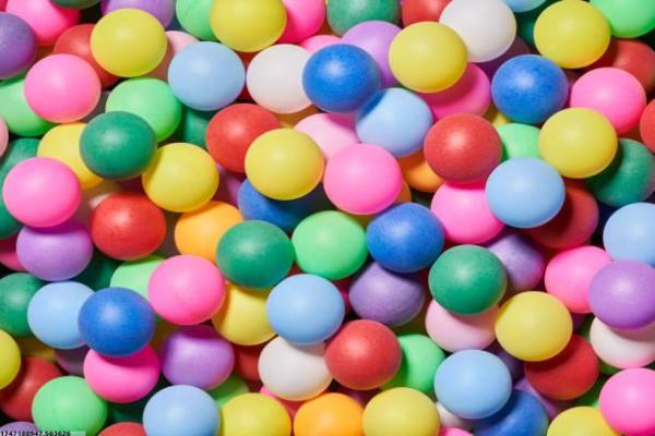 奉贤区体育培训课程的优惠政策与报名方式