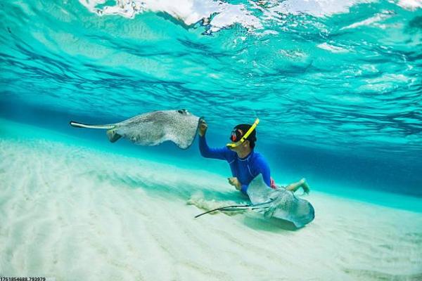 体育教师年度培训心得范文